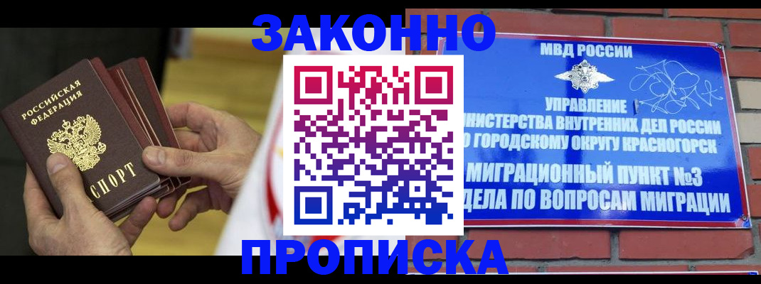 прописка для школы в Губкинском